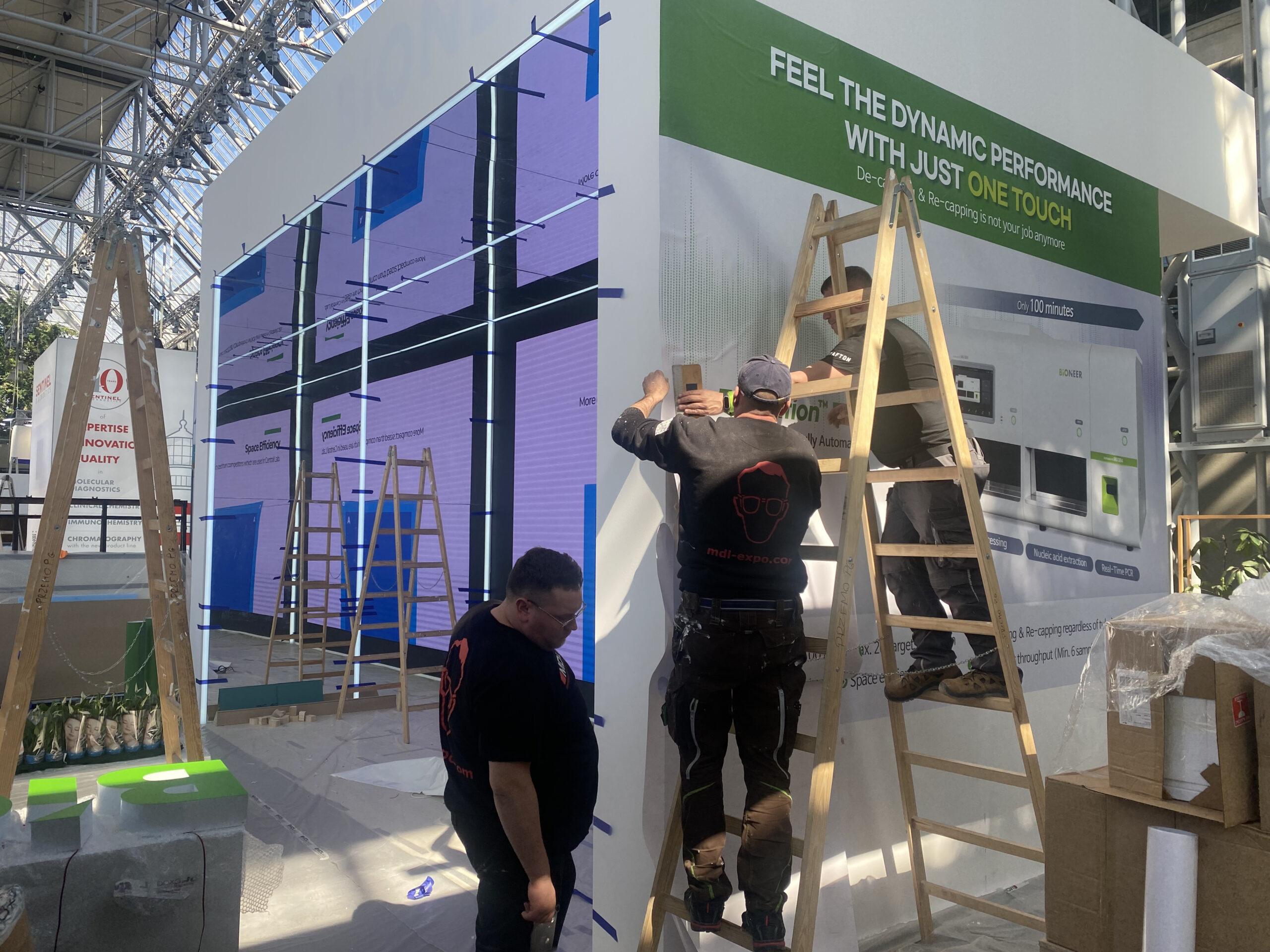 IMG_4720